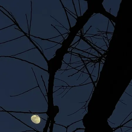 Faces & Places Boutique 4* Tirana