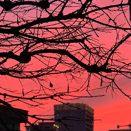 Faces&places Boutique Hotel