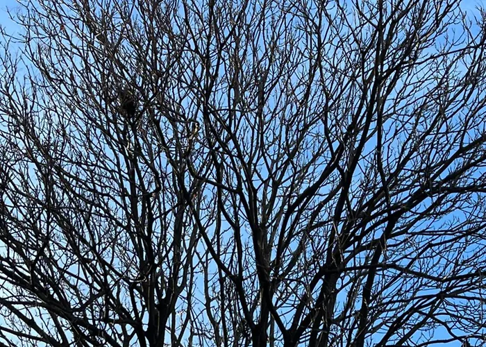 فندق Faces & Places Boutique 4*