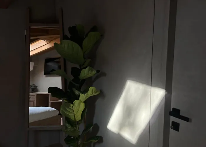 فندق Faces & Places Boutique