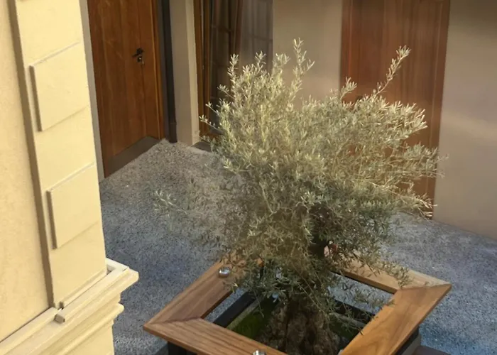 Faces & Places Boutique Hotel